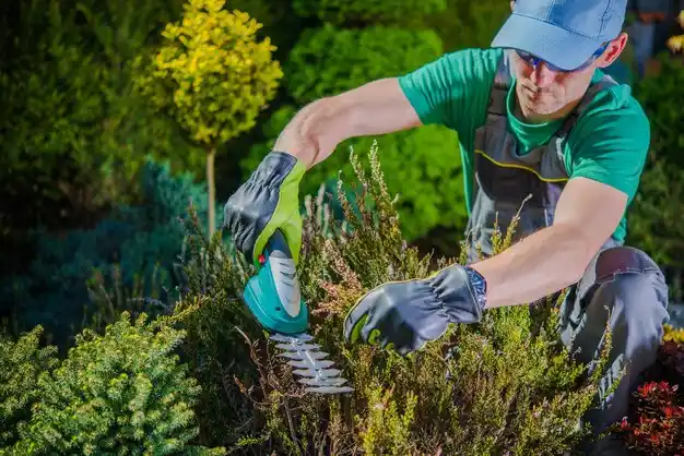 landscaping services Acushnet Center